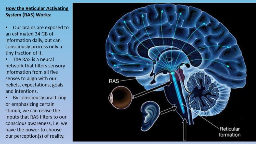 Empower Your Brain's Search Engine to Find Love, Success & Inner Peace (2.0)